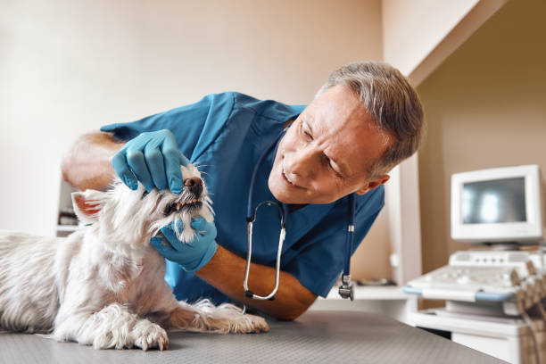 Best Same-Day Emergency Appointments in Groveton, VA